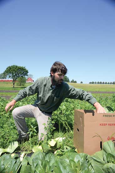 At Juniper Hill Farm, farmers take delivery boxes right into the field, fill them and ship them out.